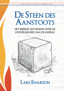 De Steen des Aanstoots - Lars Enarson