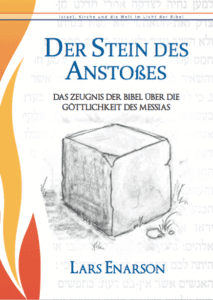 Der Stein des Anstosses - Lars Enarson